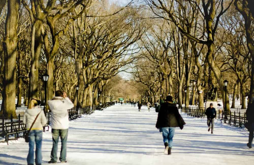 Bigfoottraveller.com L 漫步於白雪覆蓋的紐約中央公園