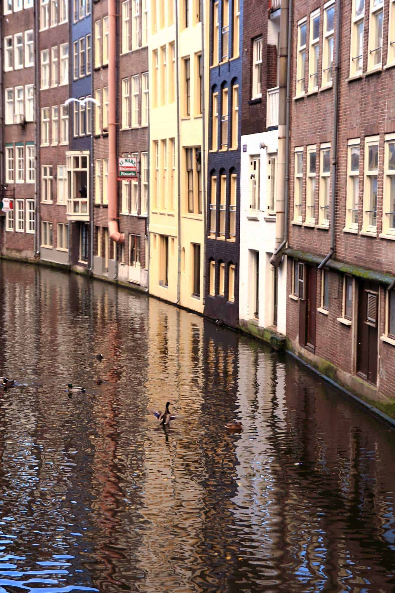 阿姆斯特丹，爱你还是恨你？