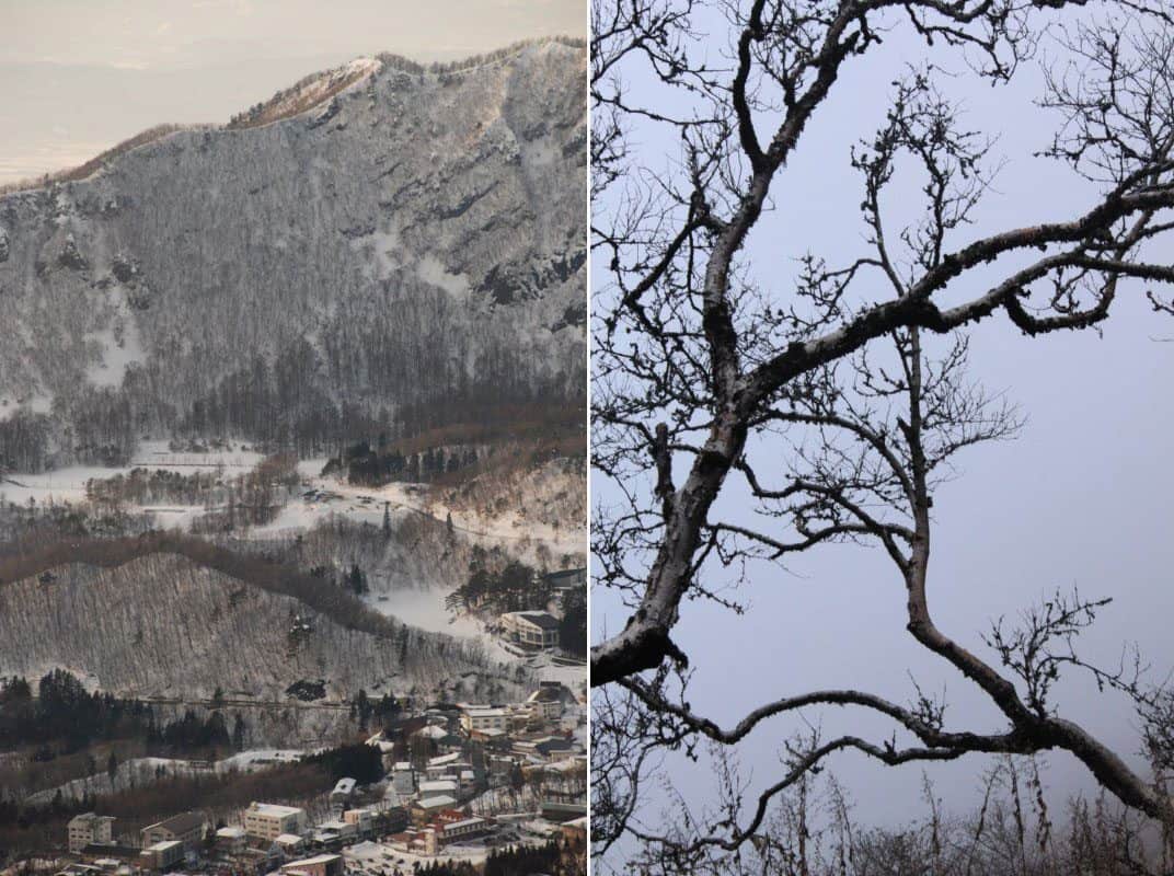 碰上雪山、松树等水墨画会出现的元素，加上在雪景条件底下，是拍摄模拟水墨画效果最佳的时机。