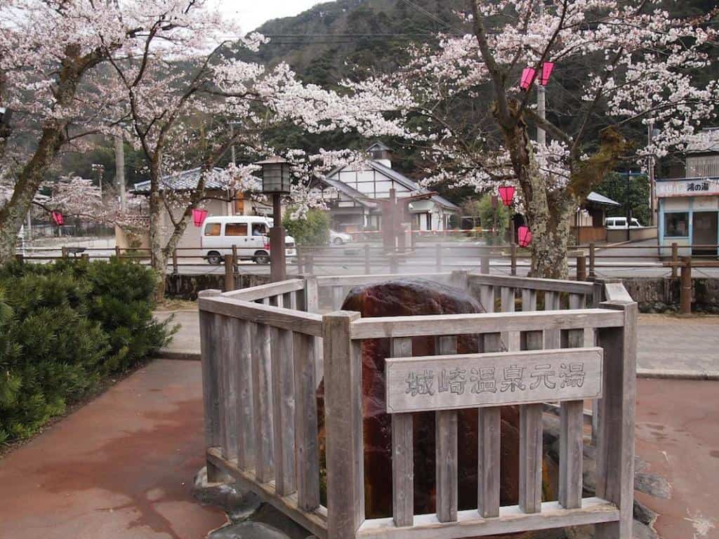 日本城崎温泉，在樱花下泡汤