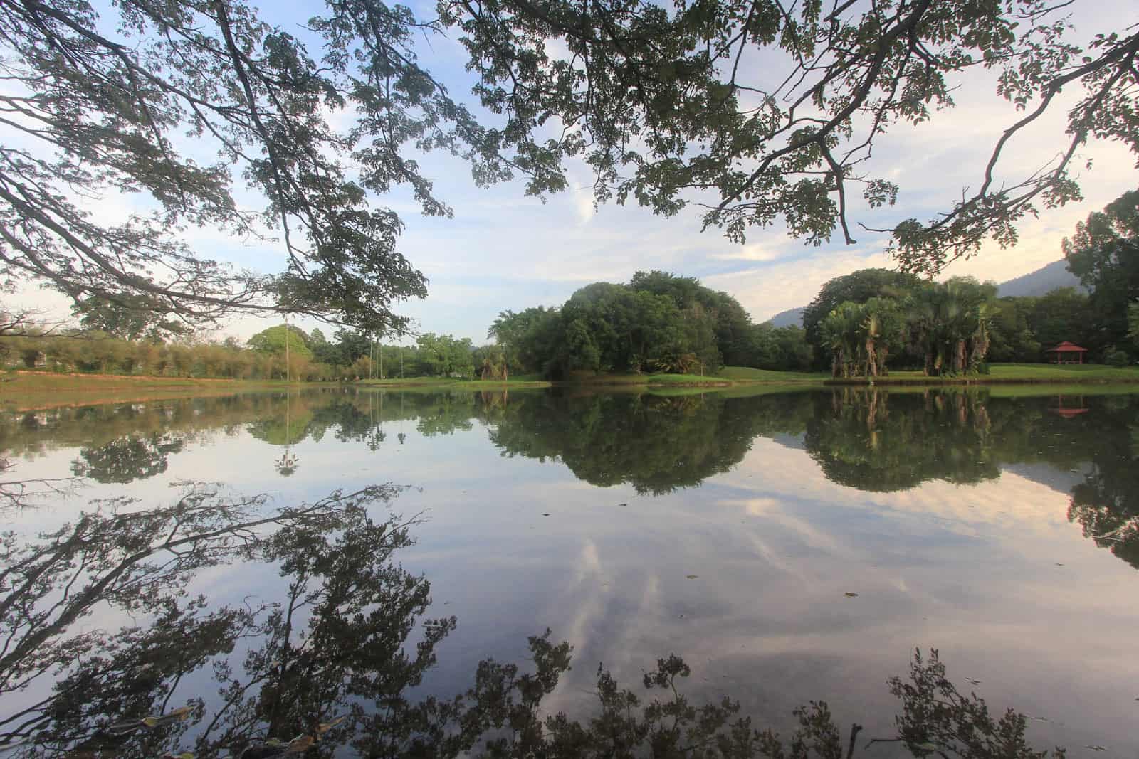 被绿意包围的太平湖，是马来西亚第一座湖滨公园。