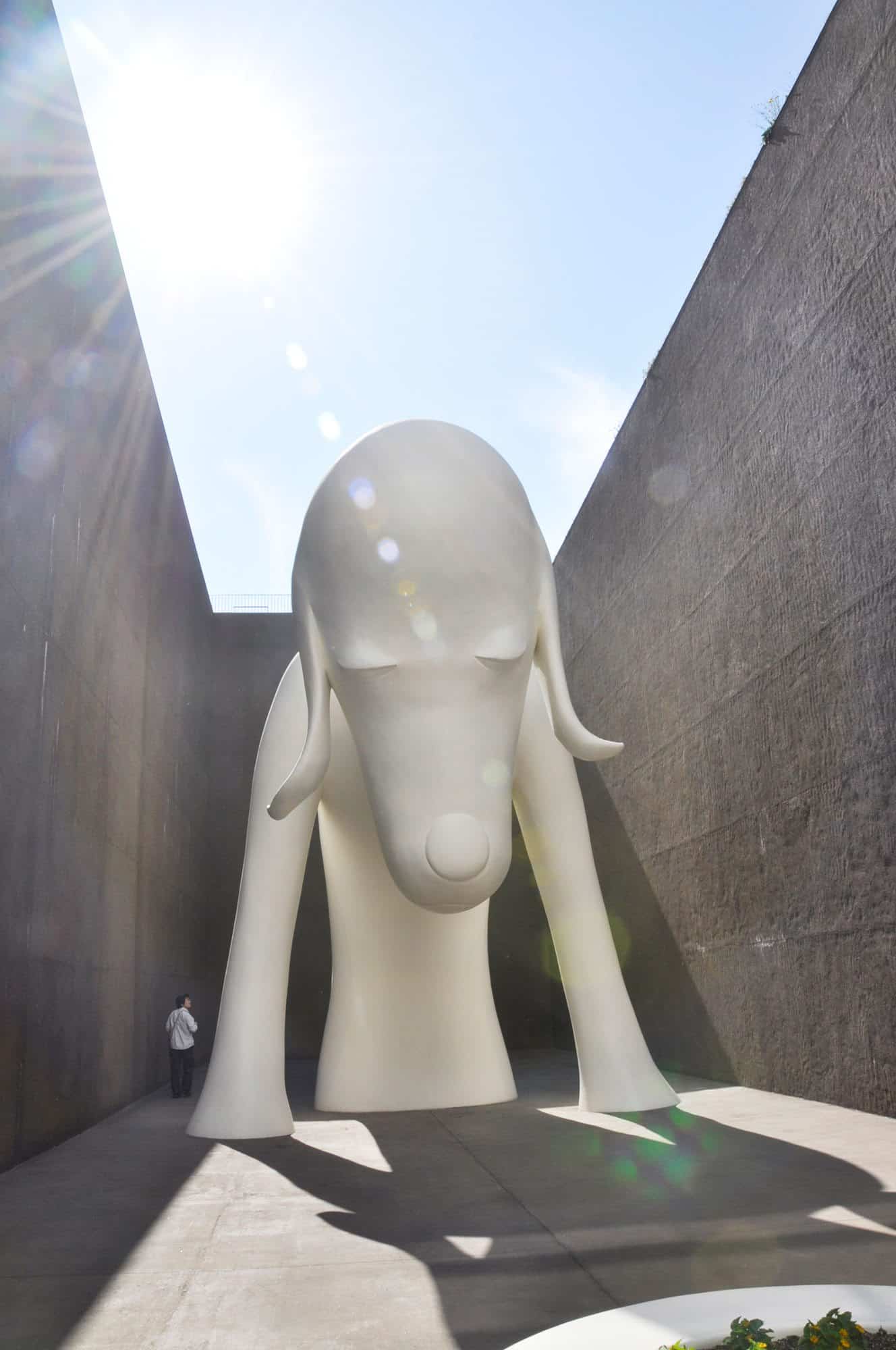 日本青森奈良美智美术展|"悲伤时我好想喊你的名字"