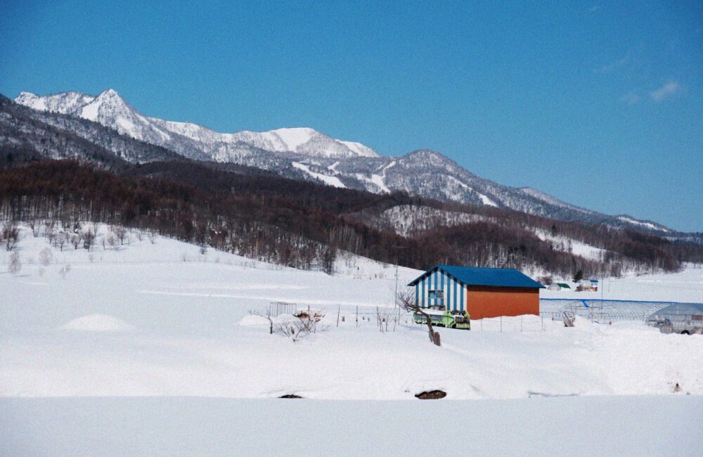 Bigfoottraveller.com｜北海道｜富良野的冬日慢旅