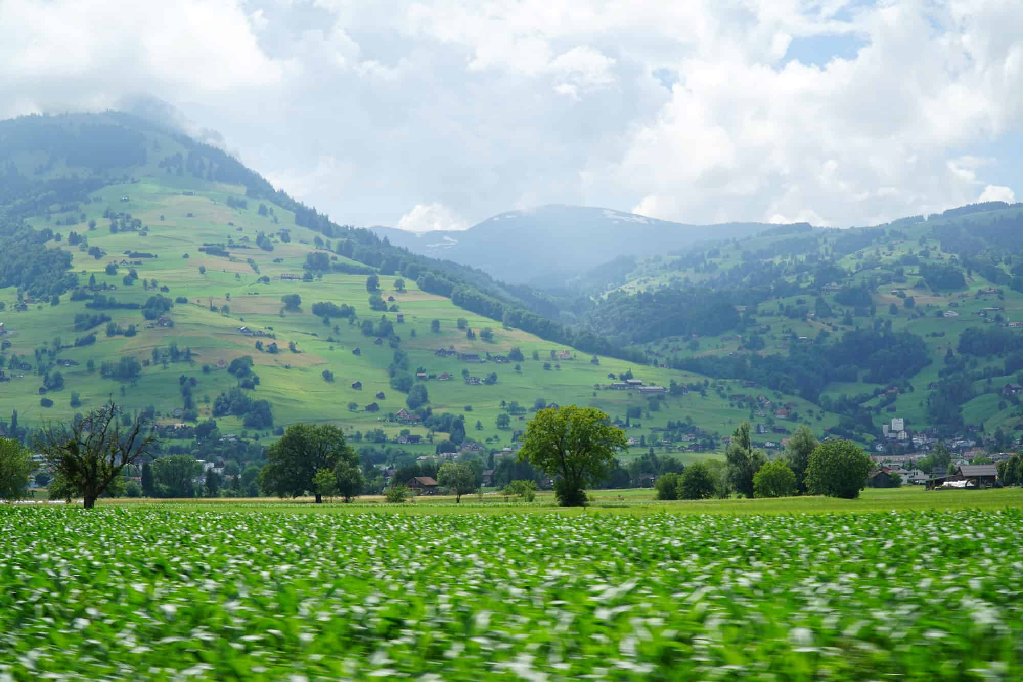 列支敦士登｜诗意小国走一回— 大脚印
