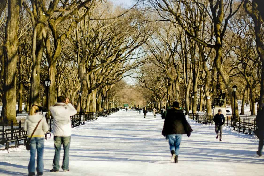 Bigfoottraveller.com l 漫步於白雪覆蓋的紐約中央公園